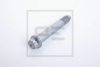 PE Automotive 066.255-00A Screw